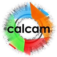 Calcam logo