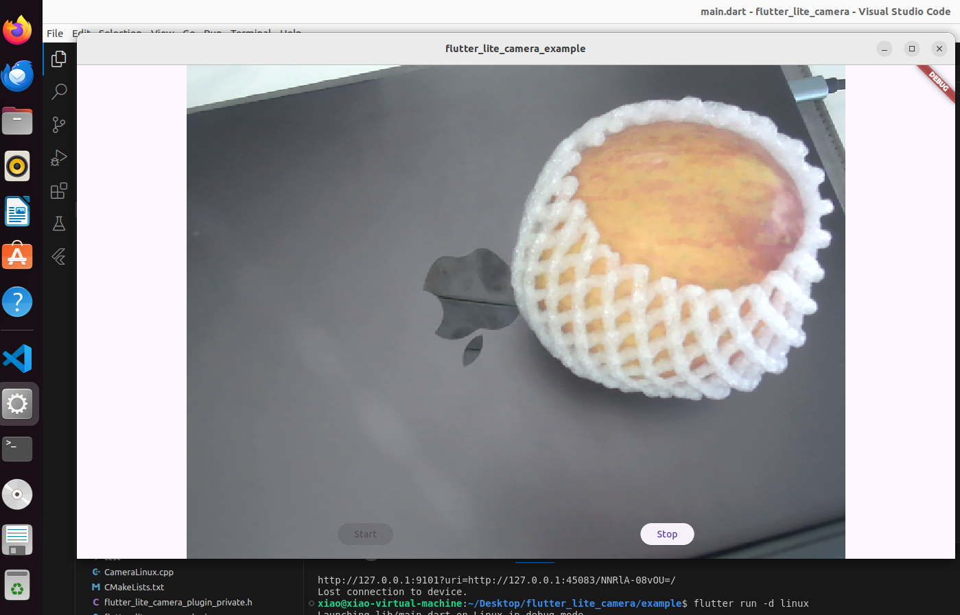 Flutter camera preview app