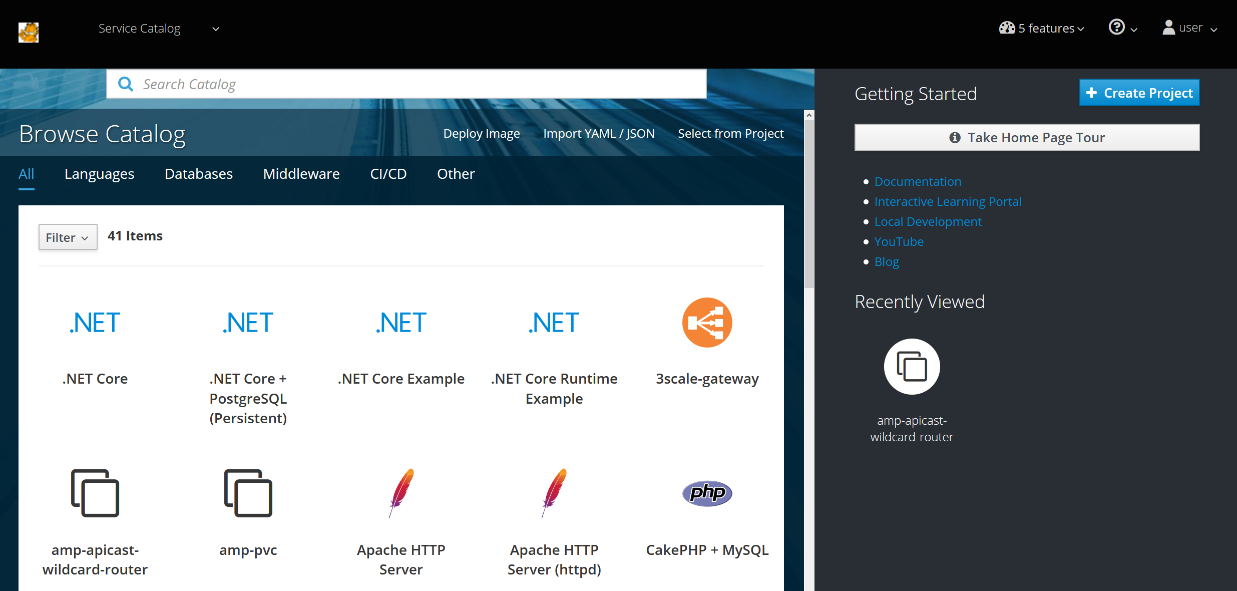 General view of openshift web conole