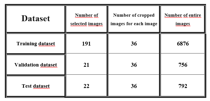 The characteristics of the training, validation and test datasets derived from the FH dataset