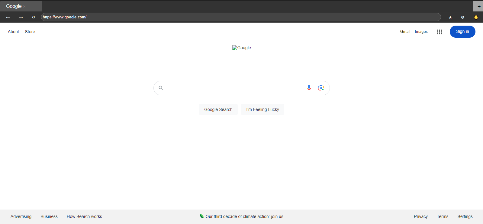 google.com (screenshot 3)