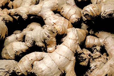 a lot of ginger. A lot of Ginger Root. ginger harvest. ginger root food background. closeup photo / top view