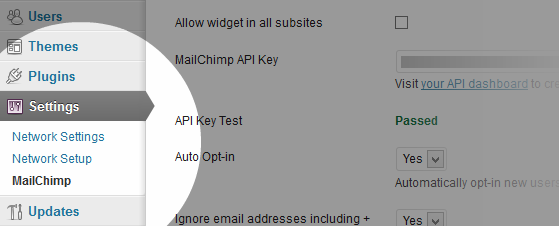 Plugin options on multisite installs of WordPress.