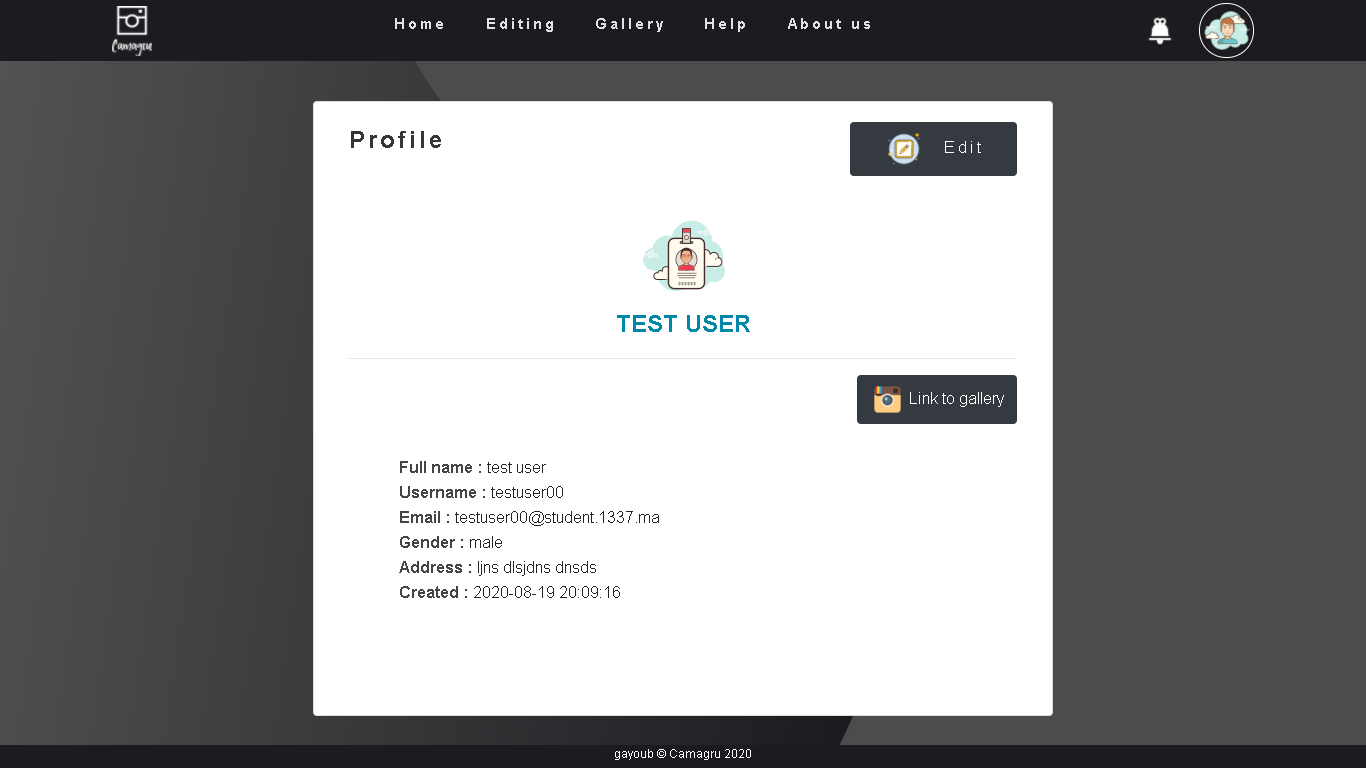 Image of camagru profile