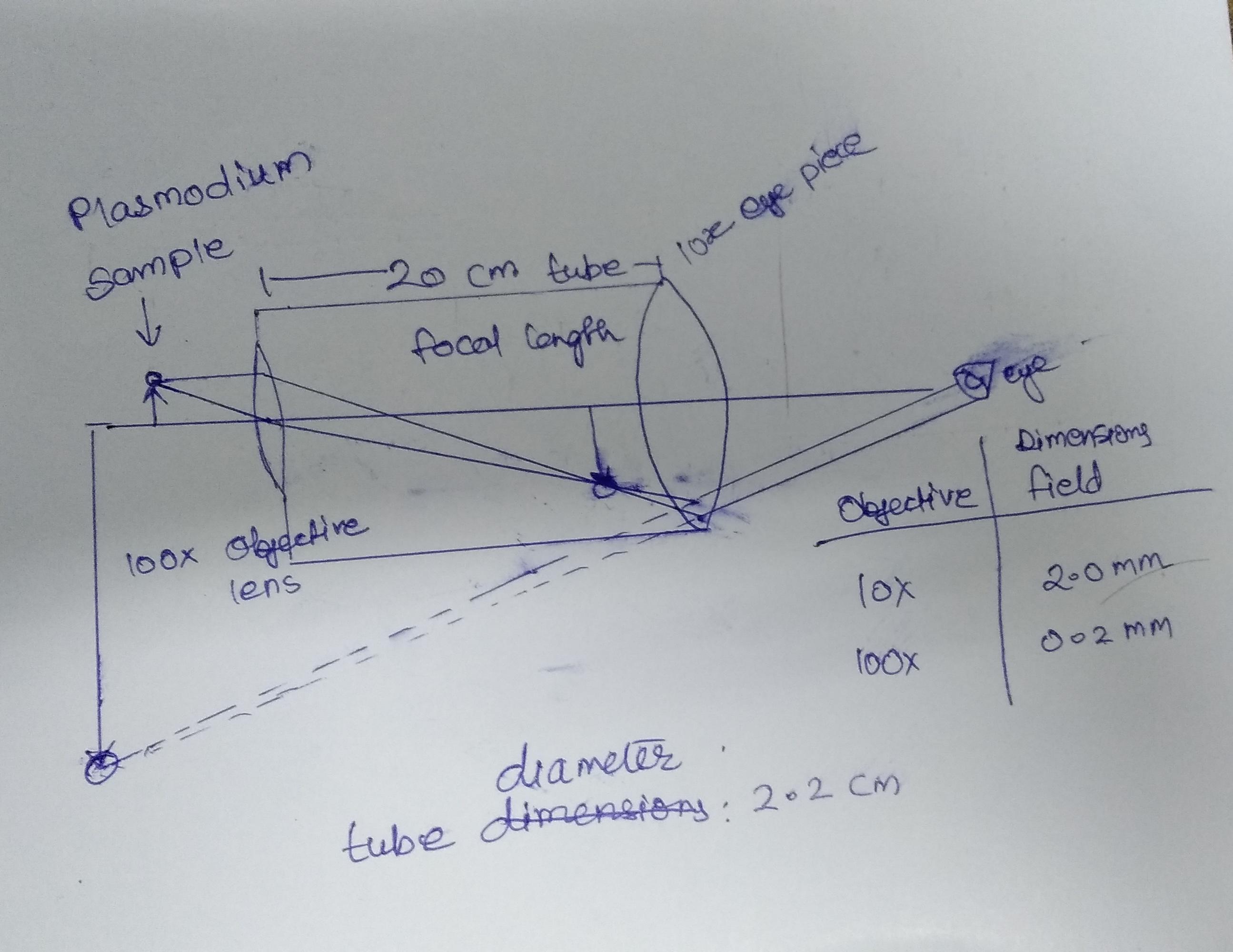 wee-scope-diagram