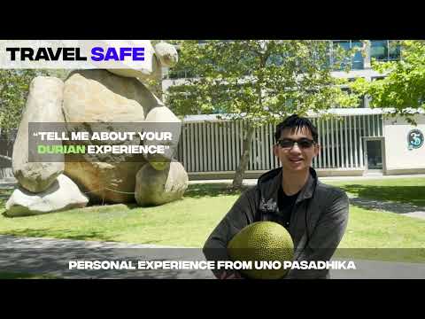 Travel Safe Pitch Video