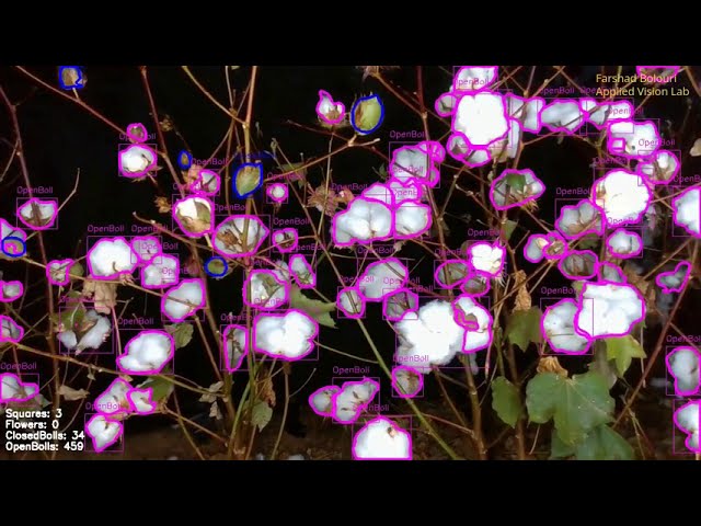 Cotton Plant Phenotyping Data Acquisition System