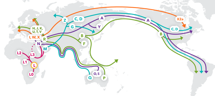 mtDNAhaplogroup