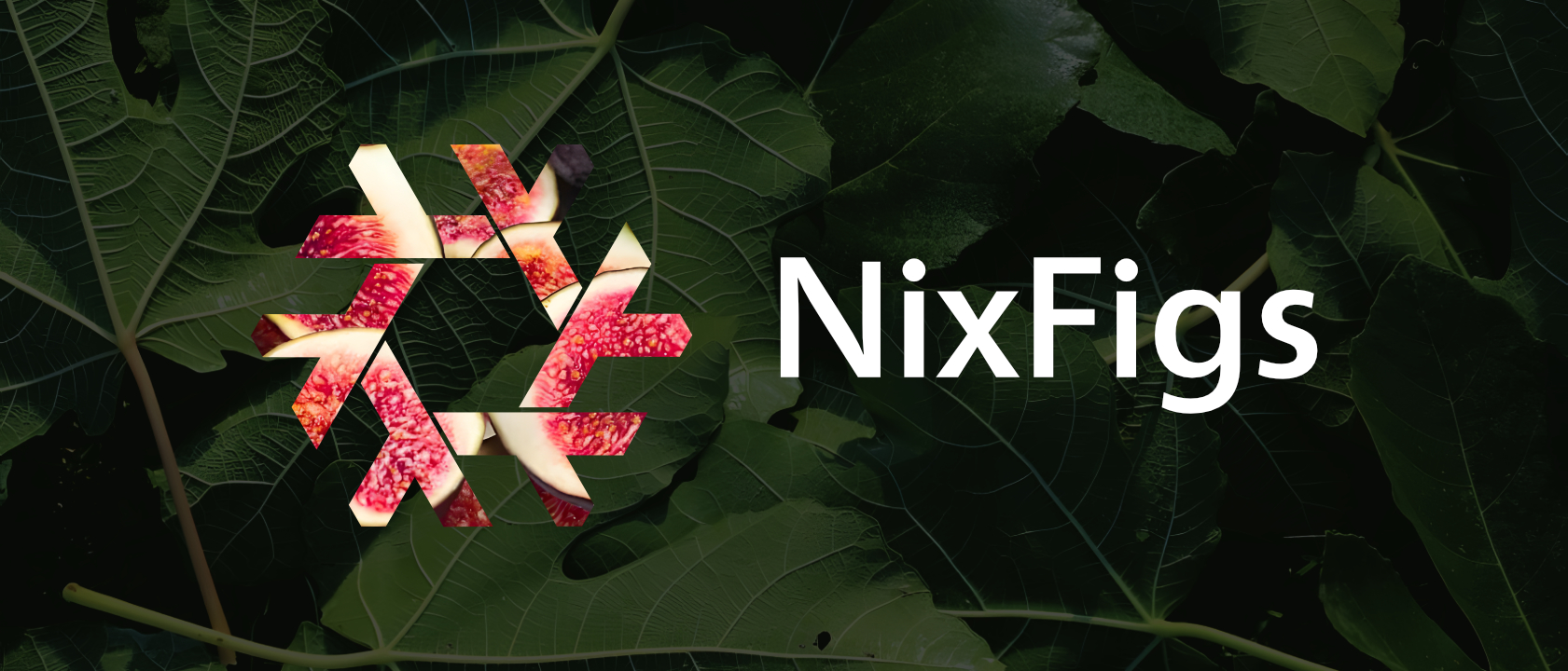 NixFigs