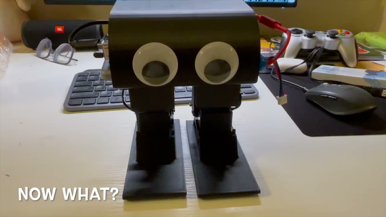 Rockie Robot Video Demo