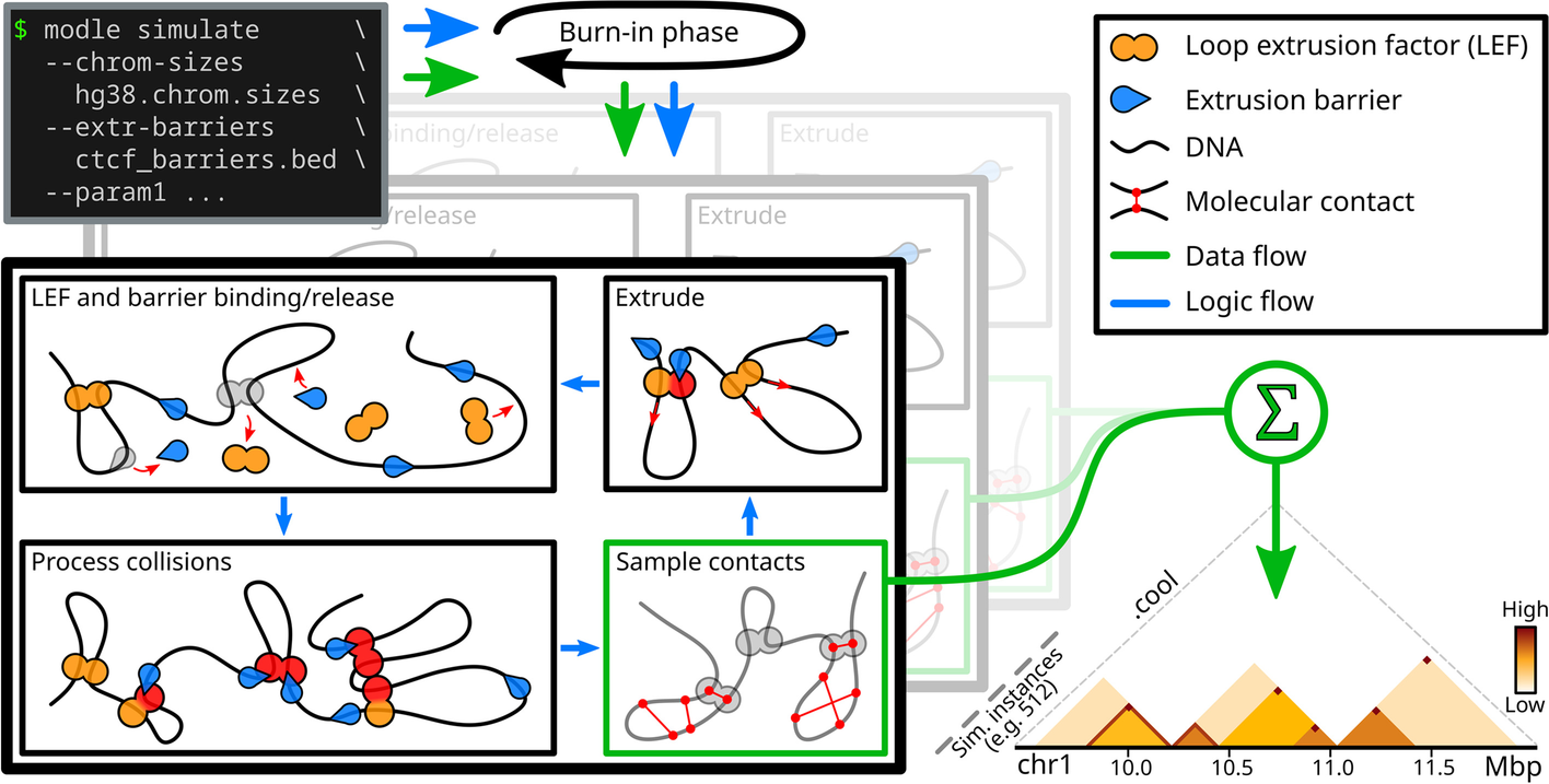 Figure 1 from MoDLE's paper