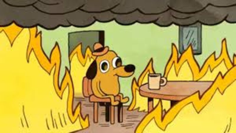 this is fine dog