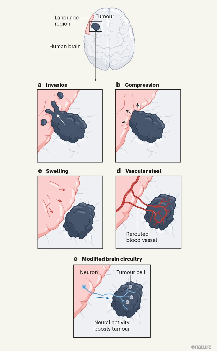 Fig4