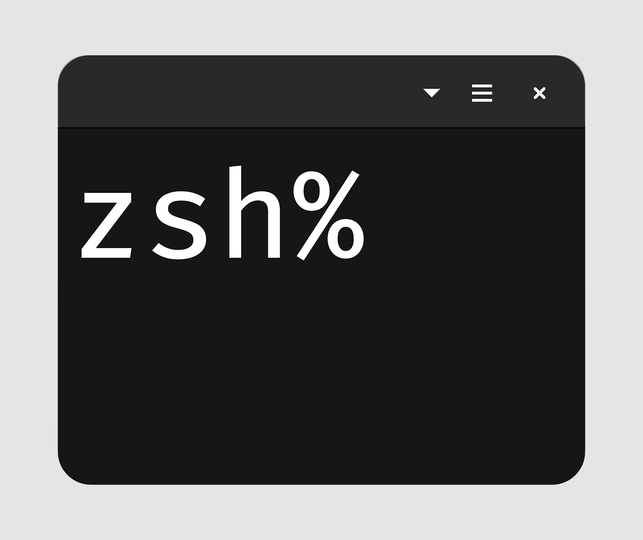 ZSH