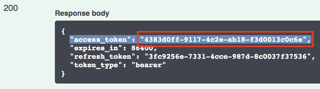 swagger ui access_token