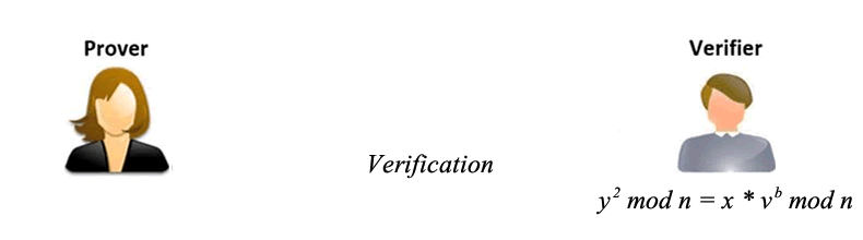 Verification Phase