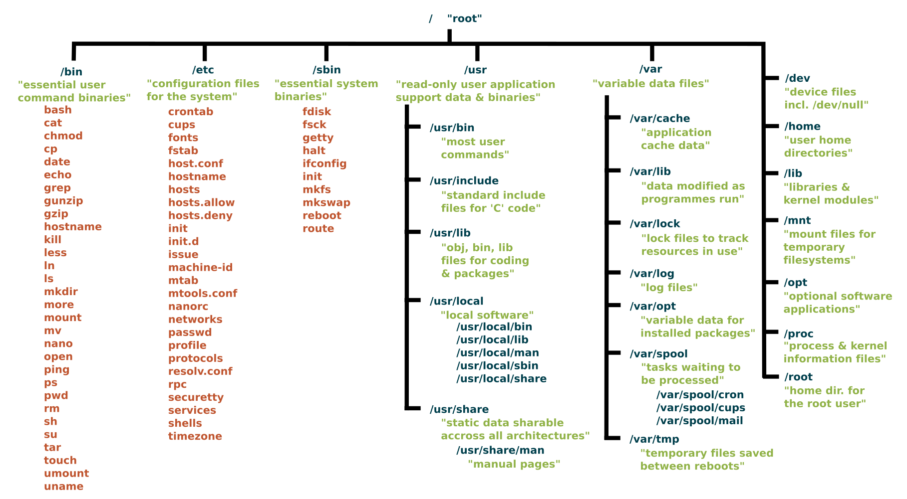 Linux File System