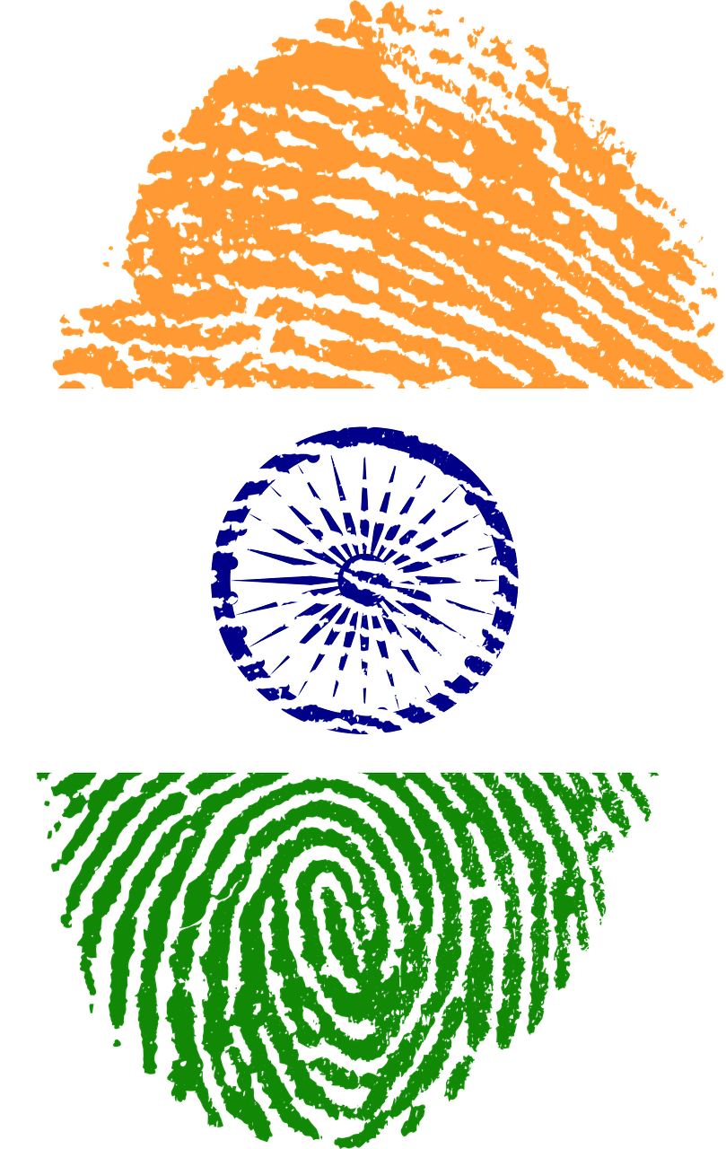 India is an intellectual project too. It must be protected.