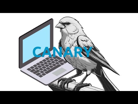 Canary Video