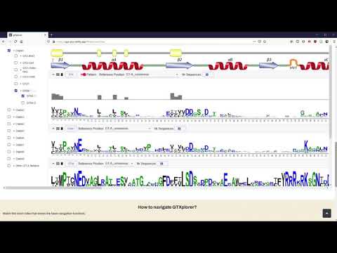 Tutorial video