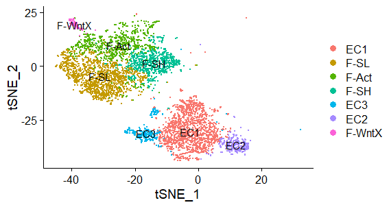 TSNE Plot