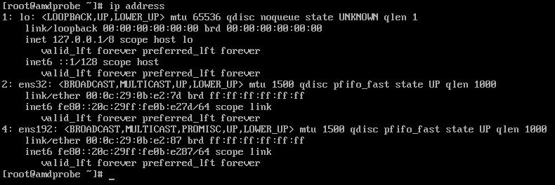 ip address example output