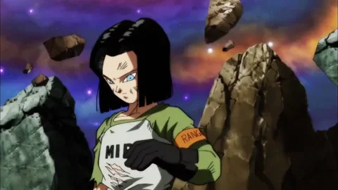 android-17-pic