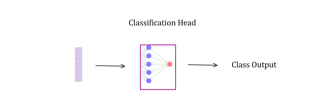 Classification