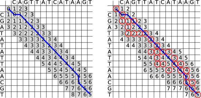 dna-comparison