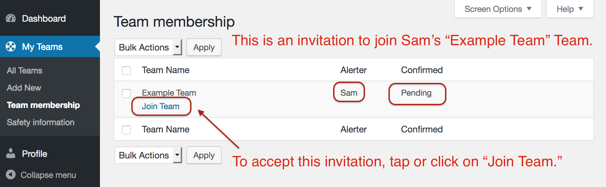 Screenshot showing the "Team membership" page with one Team invitation.