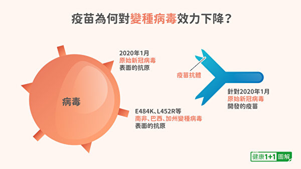 新冠疫苗为何对南非变种病毒的效力下降？（健康1+1／大纪元）