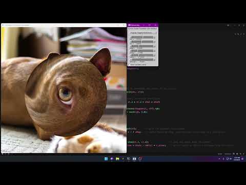 Video Demo