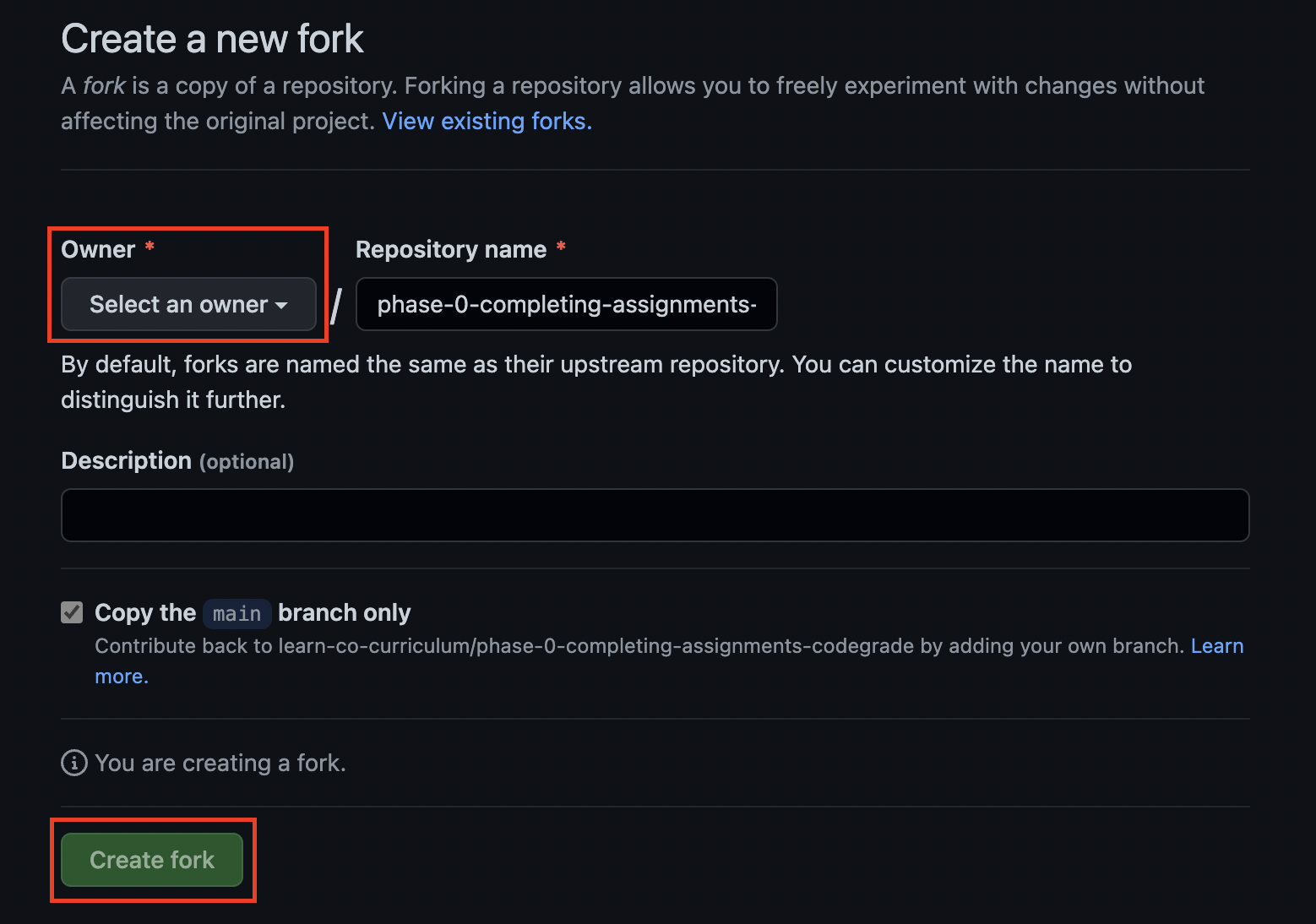 Screenshot of the 'Create a new fork' form