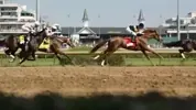 Horse Racing Sport GIF by Kentucky Derby via www.youtube.com