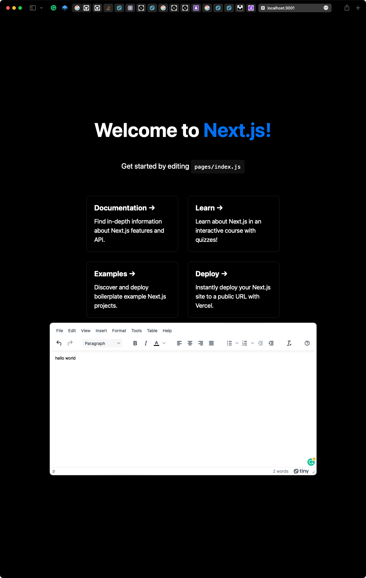 GitHub - iiiyu/nextjs-tinymce-demo · GitHub