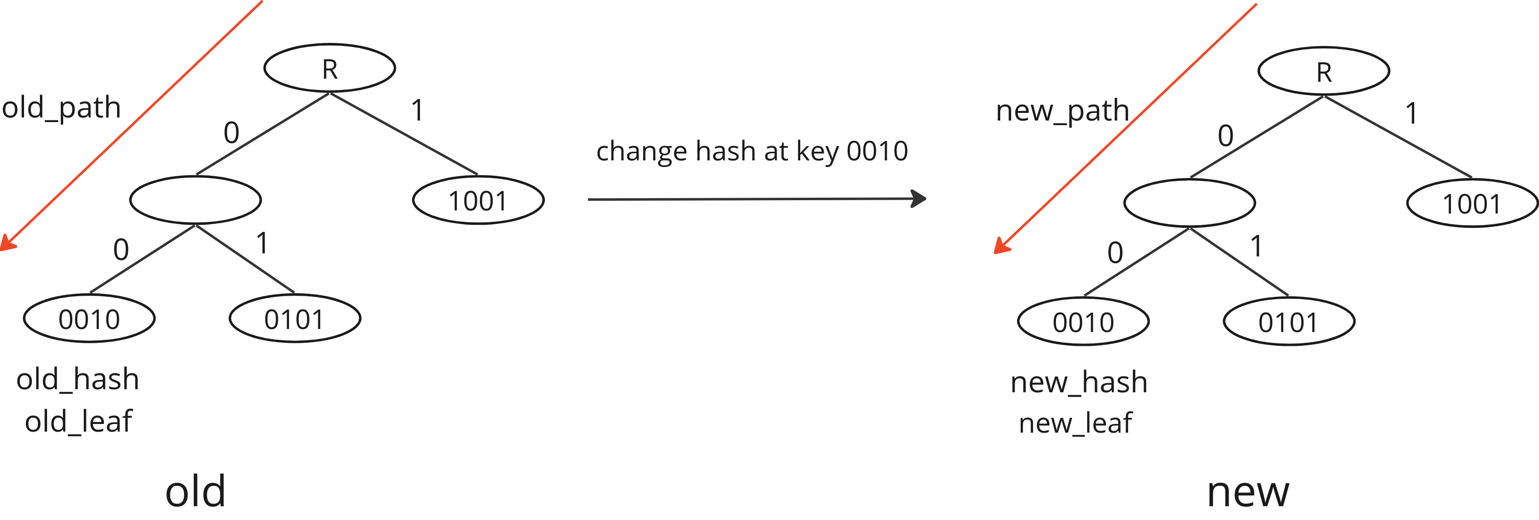 PathType_Common_modify