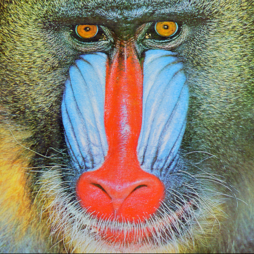 baboon-image