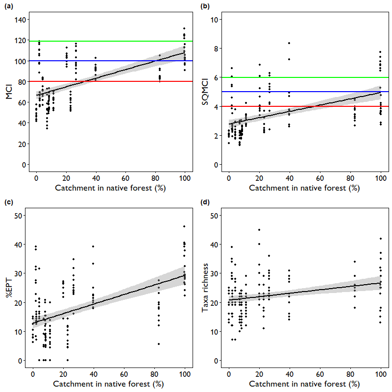 Metrics vs Native forest