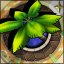 Achievement badge icon