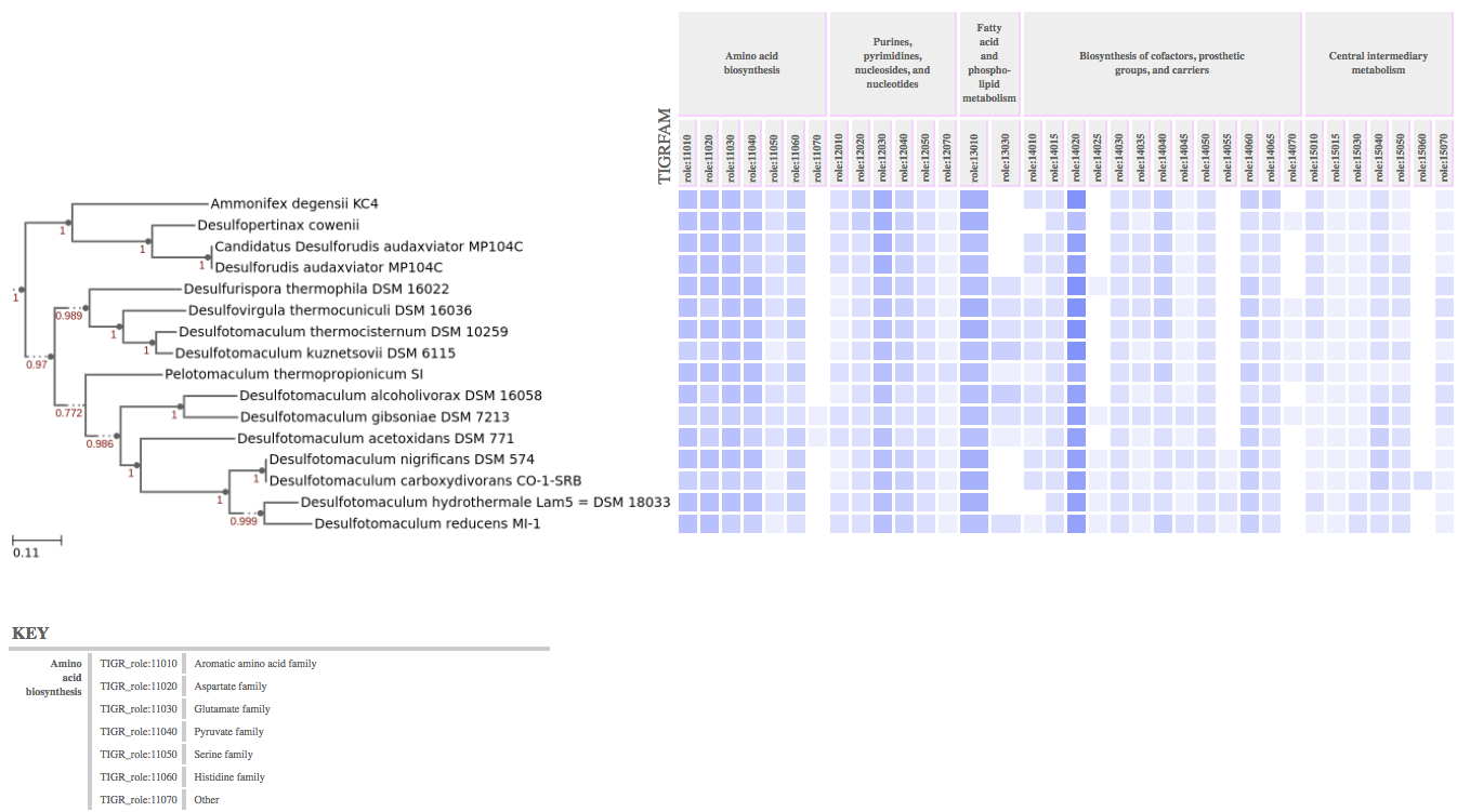 Phylogenetic Functional Profiler