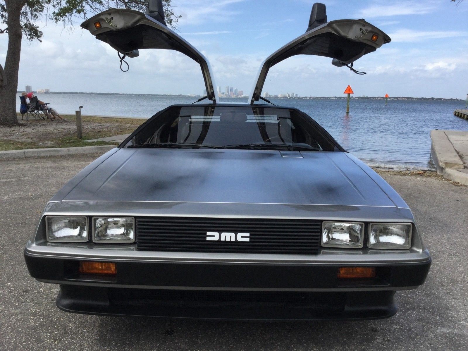 A Delorean that we all love