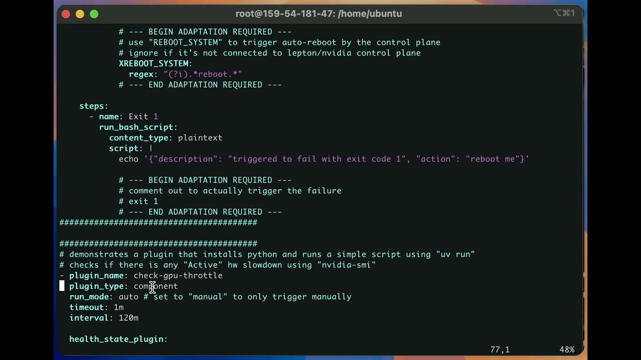 gpud-2025-06-01-04-plugins-run-once