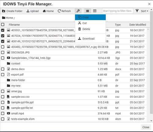 copy-multiple-files