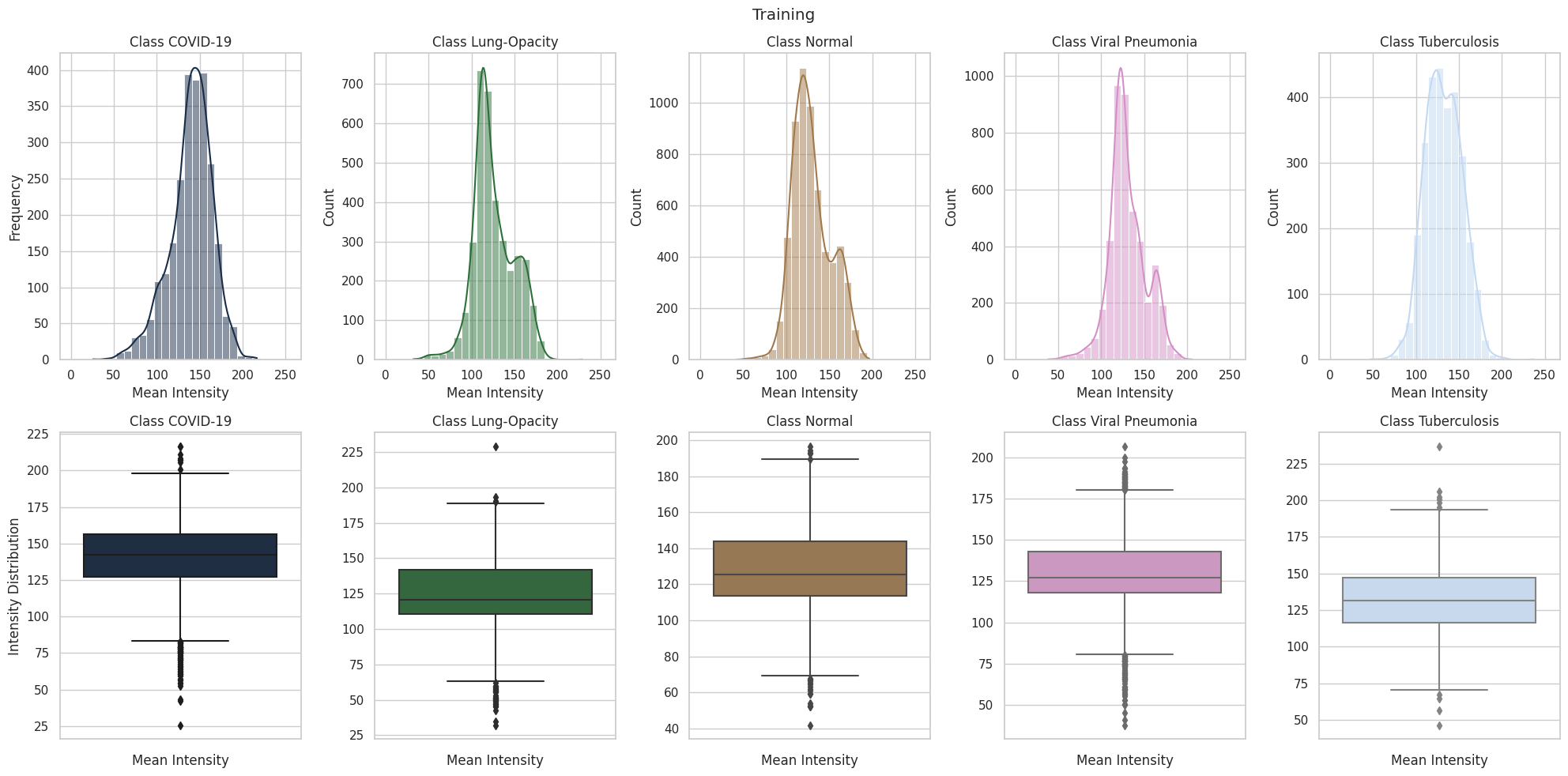 Train Datasets