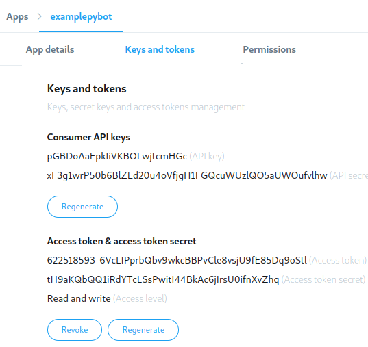 Tela contendo as chaves necessárias para o uso de aplicações que envolvem a API do Twitter