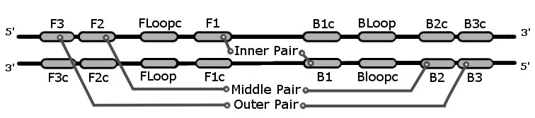 Additional description of a LAMP signature