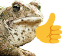 Toad doing a thumbs up motion