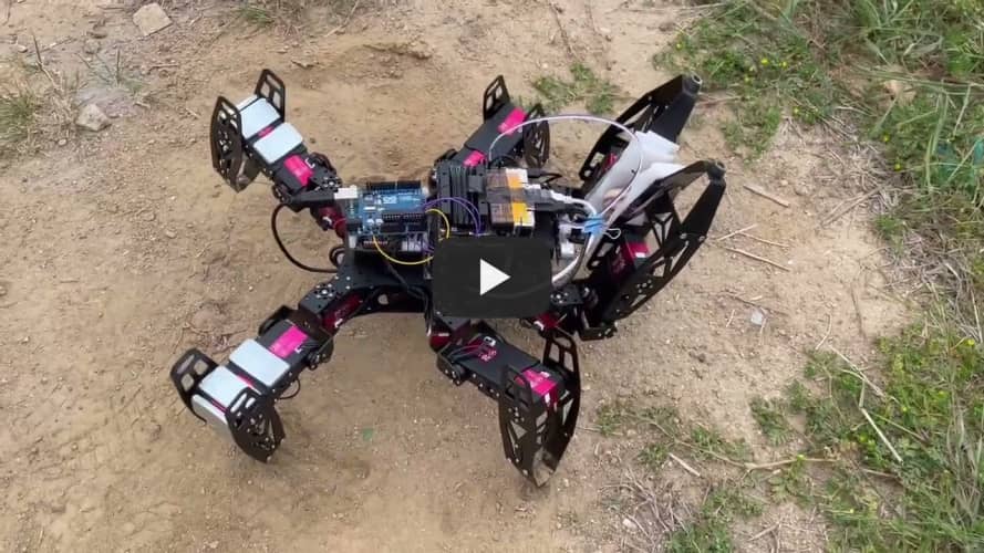 Hexapod Robot