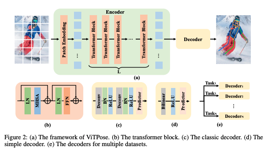 vitpose