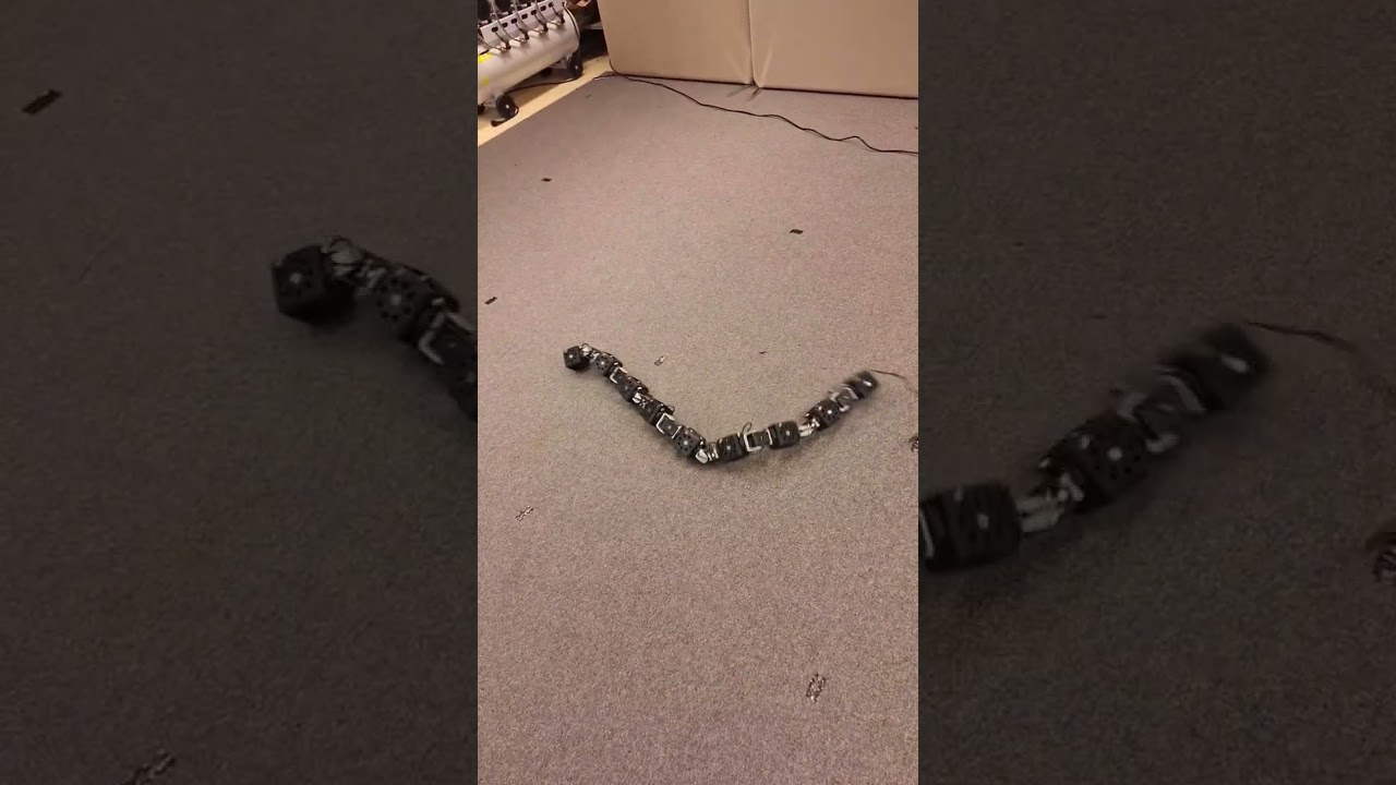 Large snake configuration